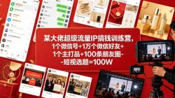 某大佬超级流量IP搞钱训练营，1个微信号+1万个微信好友+1个主打品+100条朋友圈-短视选题=100W