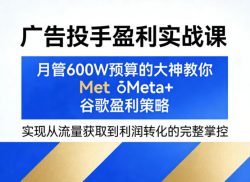广告投手盈利实战课，月管600W预算的大神教你Meta+谷歌盈利策略，实现从流量获取到利润转化的完整掌控