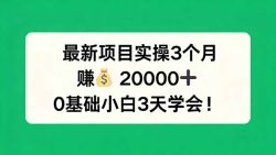 最新项目实操3个月，赚钱20000+，0基础小白3天学会！
