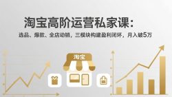 淘宝高阶运营私家课(更新26年4月