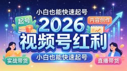 2026视频号红利实战营，大佬亲授起号、内容、直播、IP、投流、私域、矩阵全套落地打法