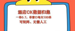 上班也能玩的酒店CK数据归集，一单0.7单窗口每天可做100单，一个人就能矩阵操作【揭秘】