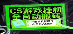CSGO游戏挂机捡漏搬砖，超稳定的项目，带领1000+小白实现日入500+