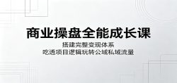 商业操盘全能成长课：搭建完整变现体系，吃透项目逻辑玩转公域私域流量