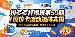 拼多多打爆班第59期｜原价卡活动矩阵实操，300个链接大促起爆，单款裂变多链接