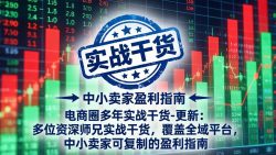 电商圈多年实战干货-更新5月10：多位资深师兄实战干货/覆盖全域平台，中小卖家可复制的盈利指南