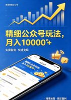 精细公众号玩法，月入10000+，实操指南，快速变现