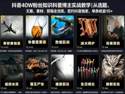 抖音40W粉丝知识科普博主实战教学｜从选题、文案、素材、剪辑全流程，签约抖音精选独家，单条收益1k+