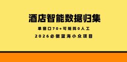 酒店智能数据归集，小众蓝海已经稳定半年之久，单窗口70+零成本矩阵开干【揭秘】