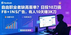 自由职业者缺高客单？日投10刀搞FB+INS广告，有人10天赚3K刀！【原创双语字幕】