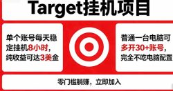 海外平台Target，正规运营商合作、技术兜底长期稳定、防风控、任务不断档、收益透明、灵活提…