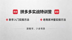 拼多多实战特训营(更新5月3