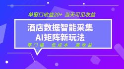 2026酒店数据采集ai智能矩阵新风口 低成本 高收益 当天见收益 单窗口20+