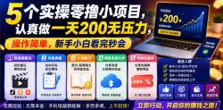 5个实操零撸小项目，认真做一天200无压力，操作简单，新手小白看完秒会【揭秘】