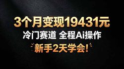3个月变现19431元，冷门赛道 全程Ai操作，新手2天学会！