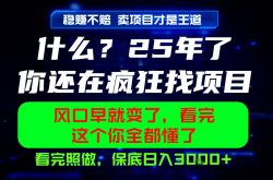 26年，请不要疯狂的找项目做了！卖项目才是真的稳賺不赔，看完照做，保底日入1k+【揭秘】