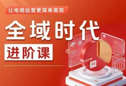 全域时代进阶课，更简单高效的全域投放实操，让电商运营更简单高效(更新)