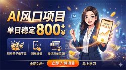AI风口项目，单日稳定800+，旺季单子做不完，简单好做，提供派单资源