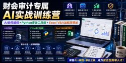 财会审计专属AI实战训练营｜AI协同编程+Python审计工具箱+Excel VBA加载项落地