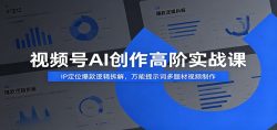 视频号AI创作高阶实战课：IP定位爆款逻辑拆解，万能提示词多题材视频制作