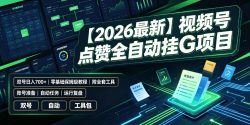 【2026最新】视频号点赞全自动挂G项目，双号日入700+，零基础保姆级教程(附全套工具)【揭秘】