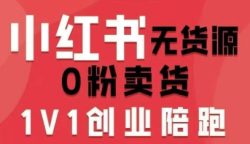 小红书无货源0粉电商课，开店准备、选品策略、笔记撰写、视频剪辑、数据分析、账号打造、资料文档(更新26年7月24日)