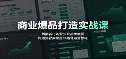 商业爆品打造实战课：拆解各行各业头部品牌案例，吃透爆款底层逻辑落地运营教程