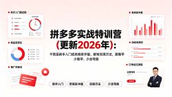 拼多多实战特训营(更新2026年